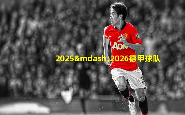 2025—2026德甲球队