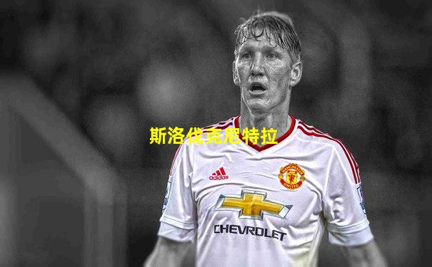 斯洛伐克尼特拉