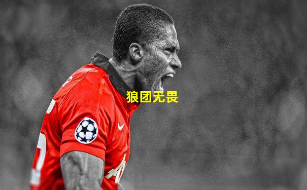 狼团无畏
