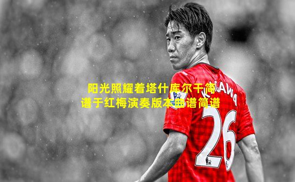 阳光照耀着塔什库尔干简谱于红梅演奏版本曲谱简谱